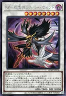 card9714-series2528-rarity5