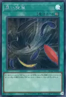 card9921-series2528-rarity5