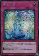 card206-series208-rarity5