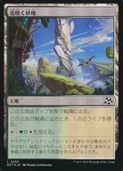 card287586-series165981-rarity323737