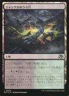 card287593-series165981-rarity323737