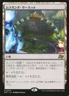 card288008-series165981-rarity323476