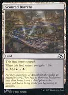card287602-series165981-rarity323737