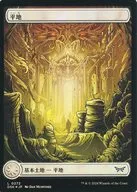 card287225-series166524-rarity323737