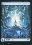card287226-series166524-rarity323737