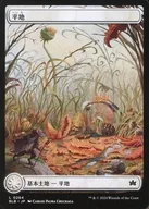 card287225-series166941-rarity323737