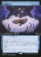 card_288764_series_166941_rarity_323476_