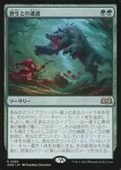 card_290493_series_168554_rarity_323476_