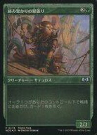 card290512-series168554-rarity323478