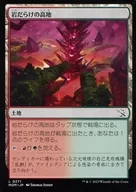 card287600-series169165-rarity323737