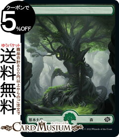 card291877-series169937-rarity323477