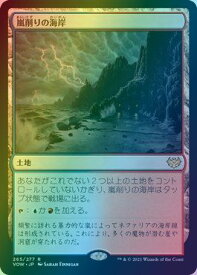 card293744-series171709-rarity323476
