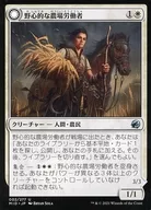 card293893-series172121-rarity323478