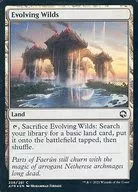 card287590-series172486-rarity323480