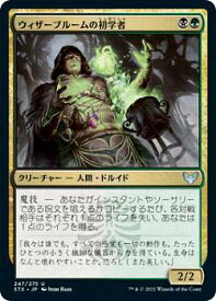card294903-series172886-rarity323478