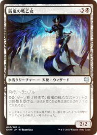 card295135-series173268-rarity323478