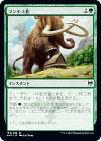 card295221-series173268-rarity323480