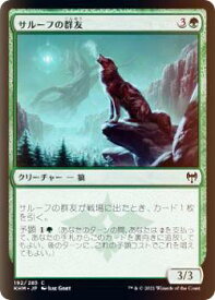 card295230-series173268-rarity323480
