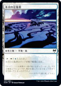 card295295-series173268-rarity323737
