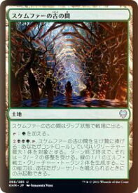 card295306-series173268-rarity323478