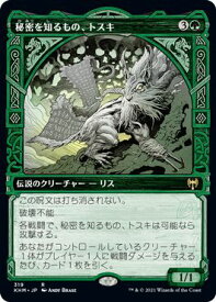 card295235-series173268-rarity323476