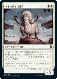 card295462-series173667-rarity323480