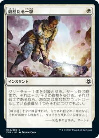 card295472-series173667-rarity323480