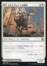 card295477-series173667-rarity323478