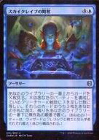 card295518-series173667-rarity323478