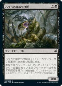 card295542-series173667-rarity323480