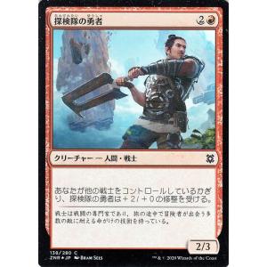 card295575-series173667-rarity323480