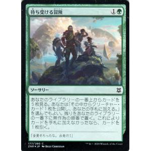 card_295614_series_173667_rarity_323480_