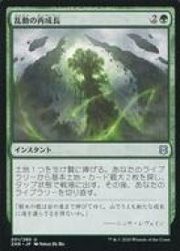 card295638-series173667-rarity323478