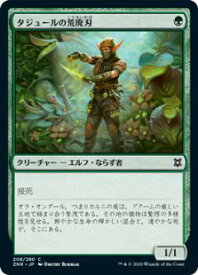card295645-series173667-rarity323480