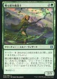 card295649-series173667-rarity323478