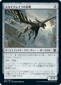 card295690-series173667-rarity323480