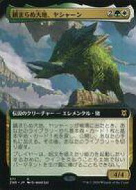 card_295677