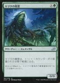 card295982-series174051-rarity323478