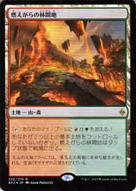 card300178-series178173-rarity323476