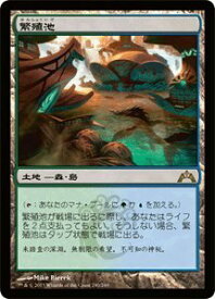 card287214-series179916-rarity323476