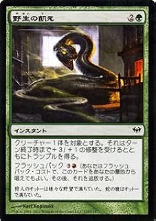 card302569-series180694-rarity323480