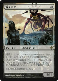 card303445-series181711-rarity323476