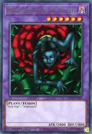 card13121-series35187-rarity1