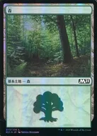 card287229-series181703-rarity323737