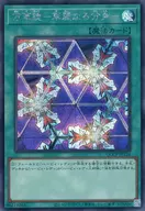 card13243-series2528-rarity5