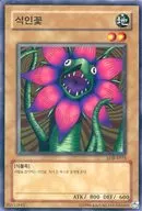 card13427-series36557-rarity1