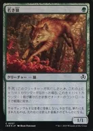 card_302571_series_179055_rarity_323480_