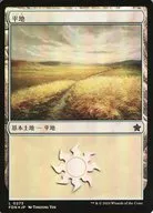 card287225-series203630-rarity323737