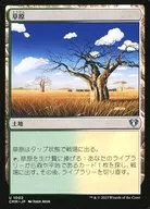 card13456-series36815-rarity62