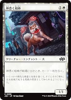 card293021-series204363-rarity323480